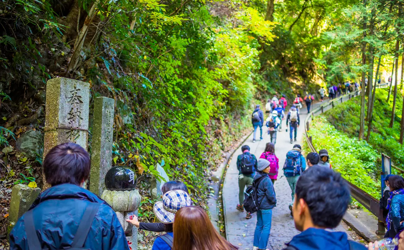 高尾山の一番人気の登山コース 自然研究路1号路 を紹介 Holiday ホリデー