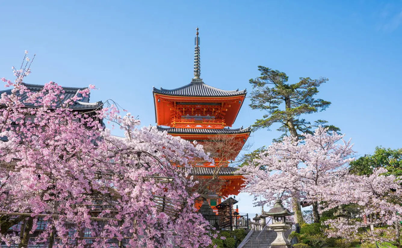 京都観光 年4月はここをチェック Holiday ホリデー