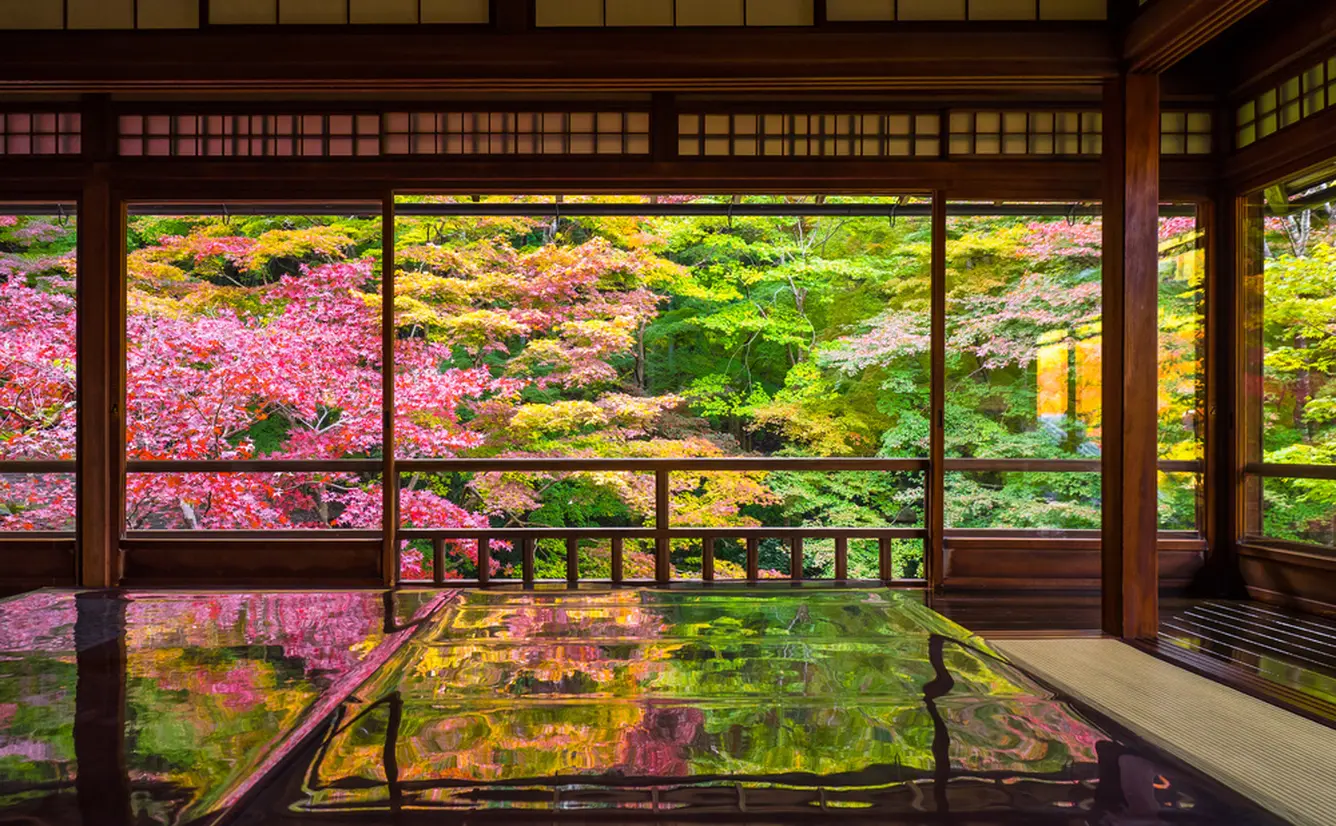 【編集部が厳選】京都で行きたい、お寺と神社のカバー画像