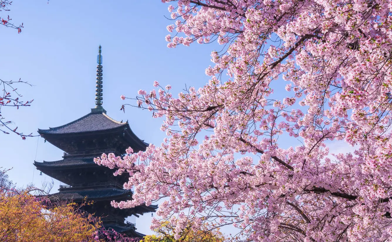 【京都観光】2020年3月はここをチェック！のカバー画像