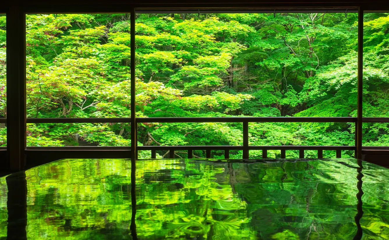 【京都観光】2020年5月はここをチェック！のカバー画像