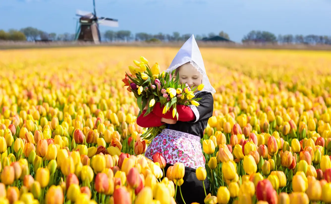 オランダ旅行ガイド 人気エリアや見どころ アクセス情報が満載 Holiday ホリデー