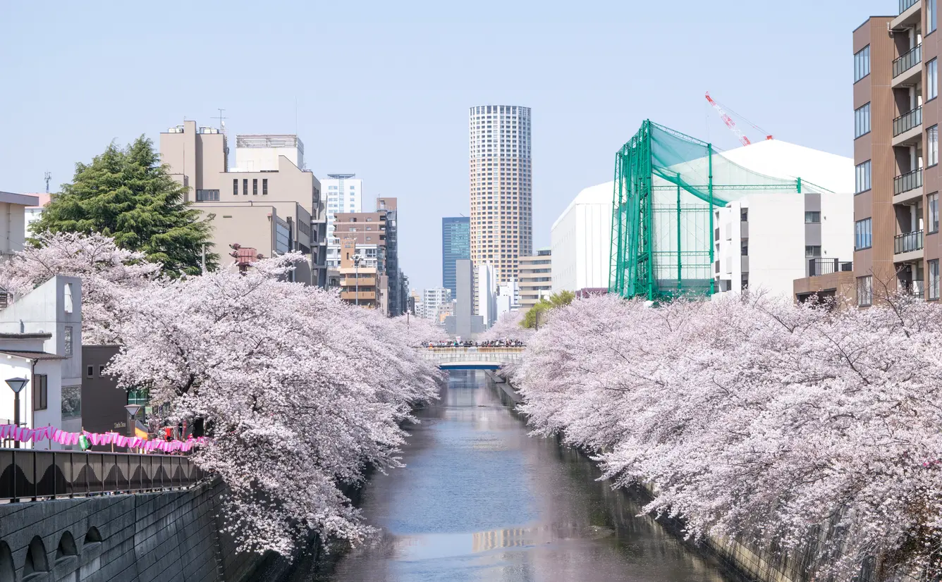 すべてのカタログ おしゃれな 東京 一人遊び 男