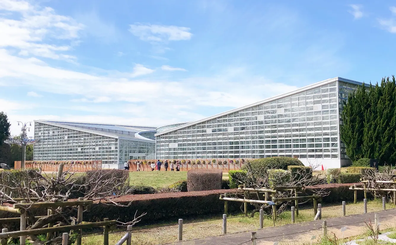 神代植物公園の楽しみ方完全ガイド 深大寺のすぐ近く バラが見事な植物公園の見どころ徹底ガイド Holiday ホリデー