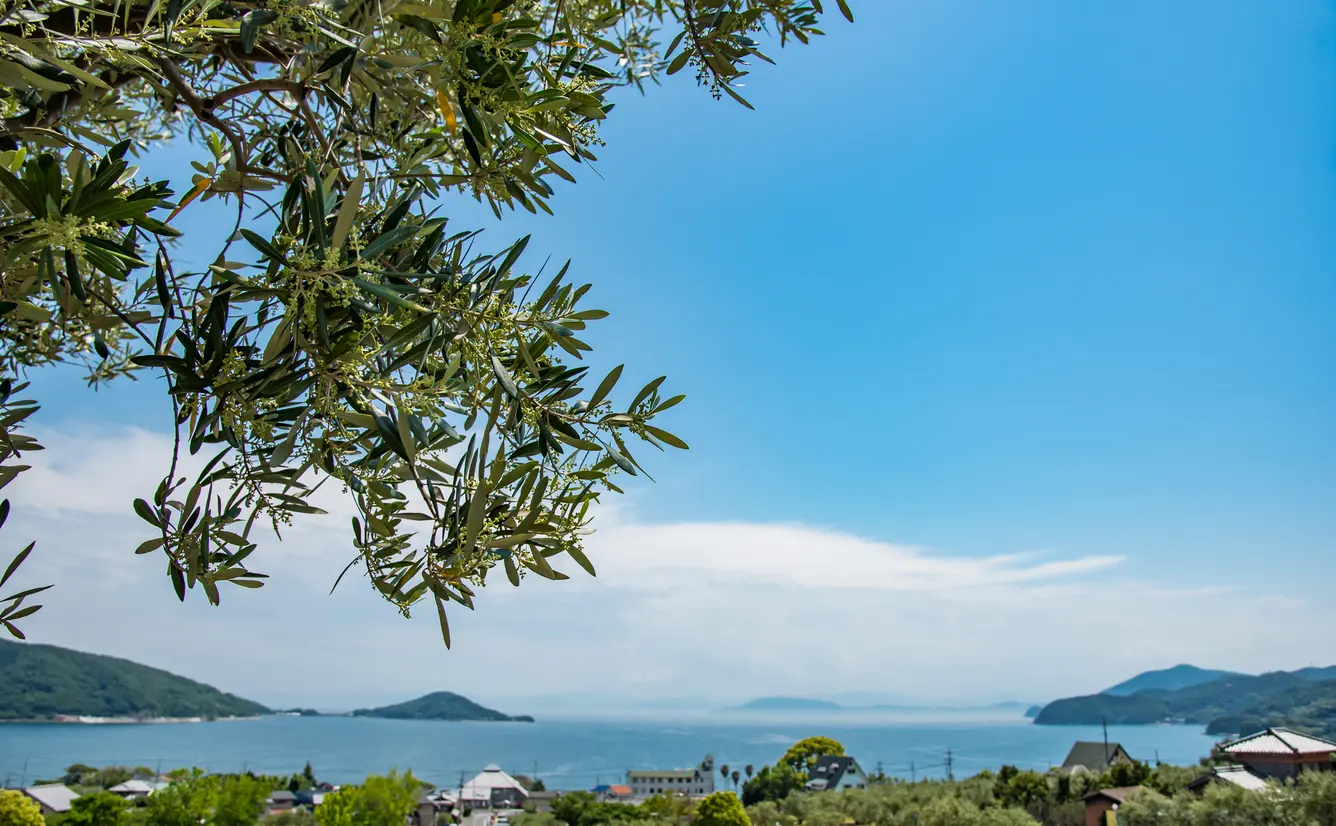 小豆島旅行ガイド！人気エリアや見どころ・アクセス情報が満載！のカバー画像
