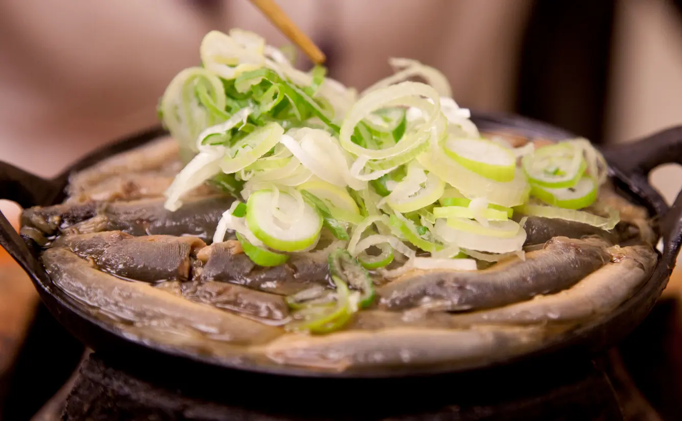 どぜう鍋 栄養満点の東京の郷土料理 どぜう鍋を食べてみた Holiday ホリデー