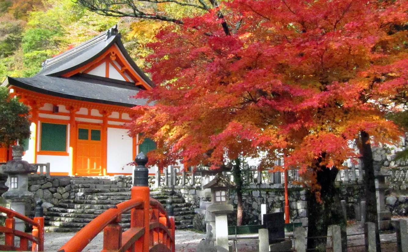 雄大な自然と人々の営みが調和する「日本遺産吉野」を巡る旅のカバー画像