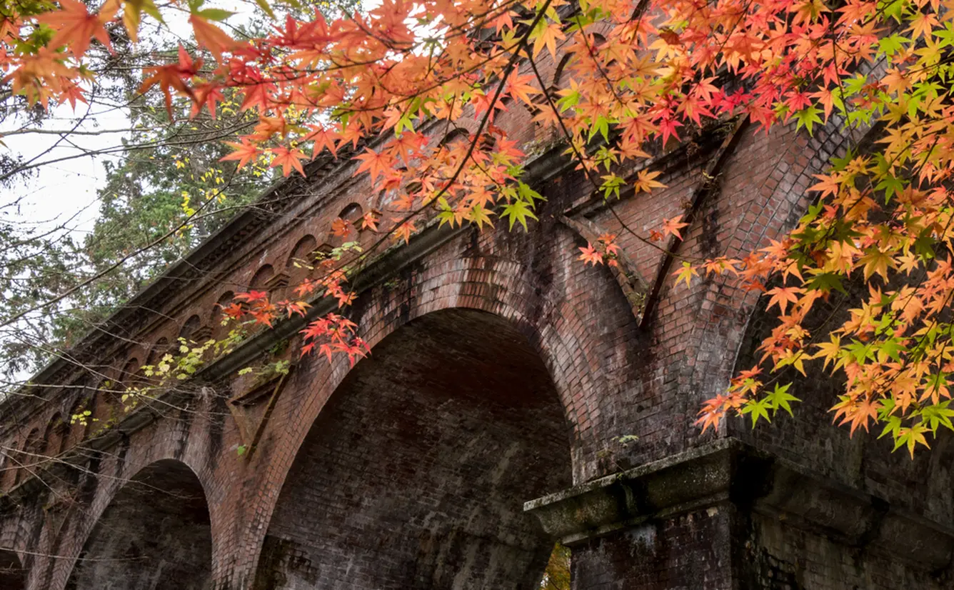 秋の京都に行くならココ 祗園 東山の秋観光で行きたいおすすめスポットを紹介 Holiday ホリデー
