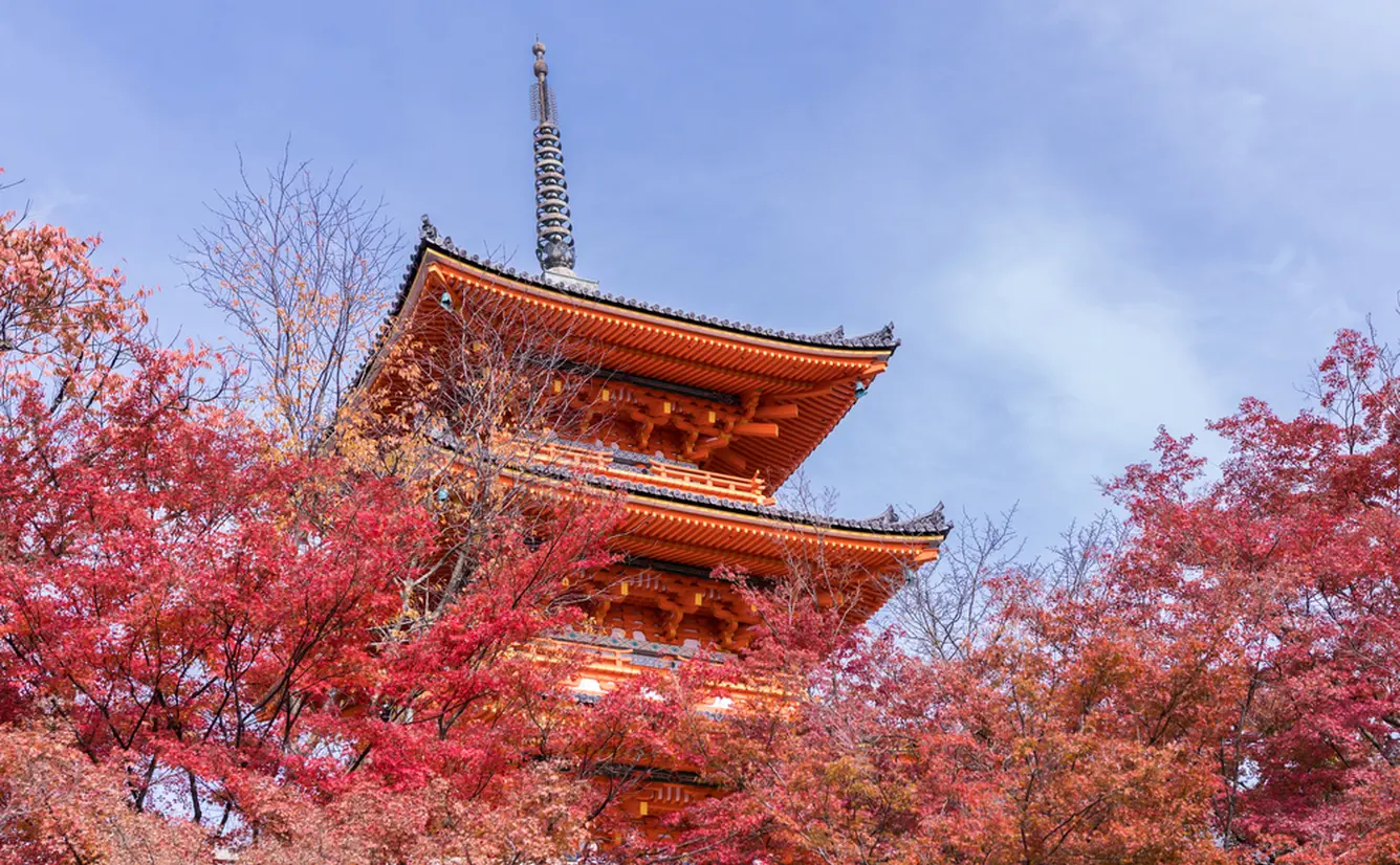 秋の京都を楽しむ！秋のおでかけおすすめプランを紹介のカバー画像