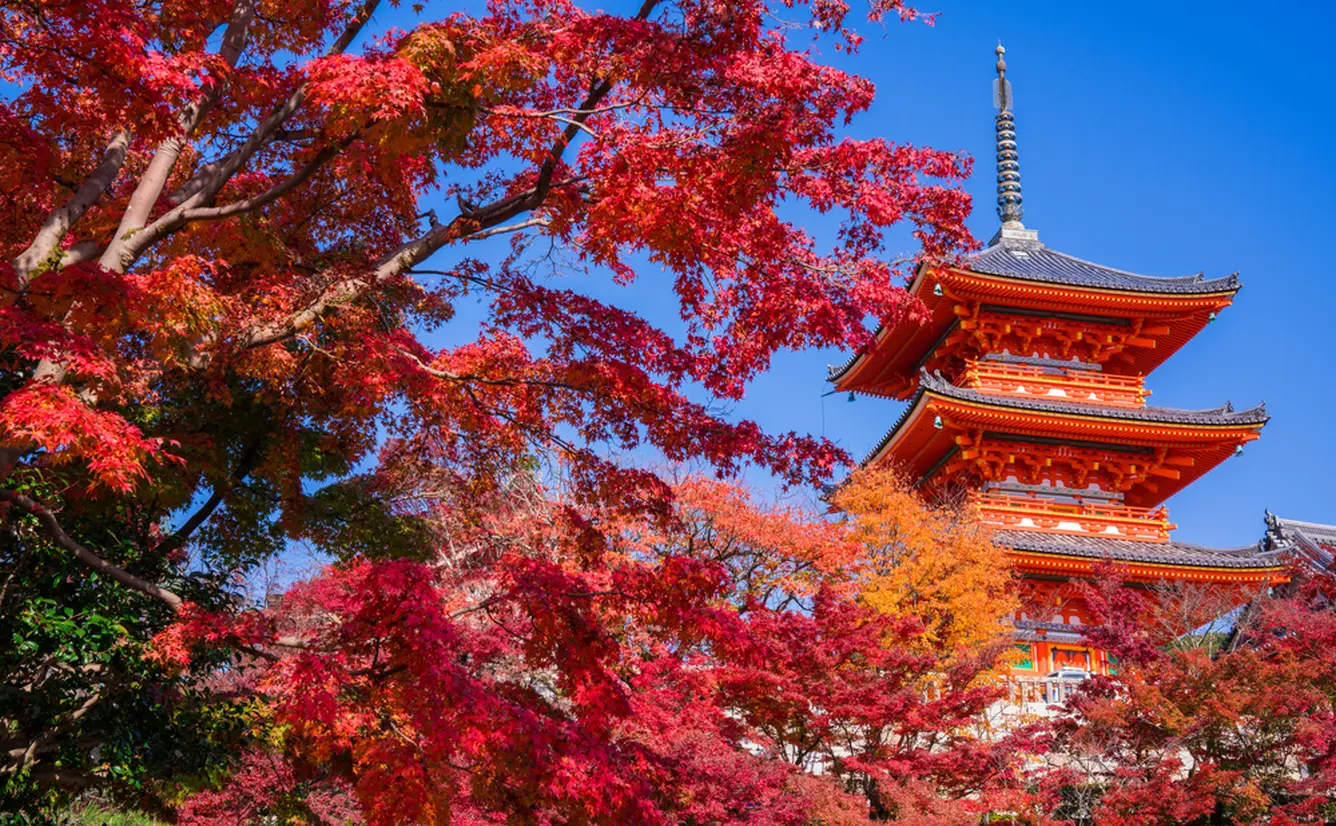 ここでしかできない体験を 京都でできる10のこと Holiday ホリデー
