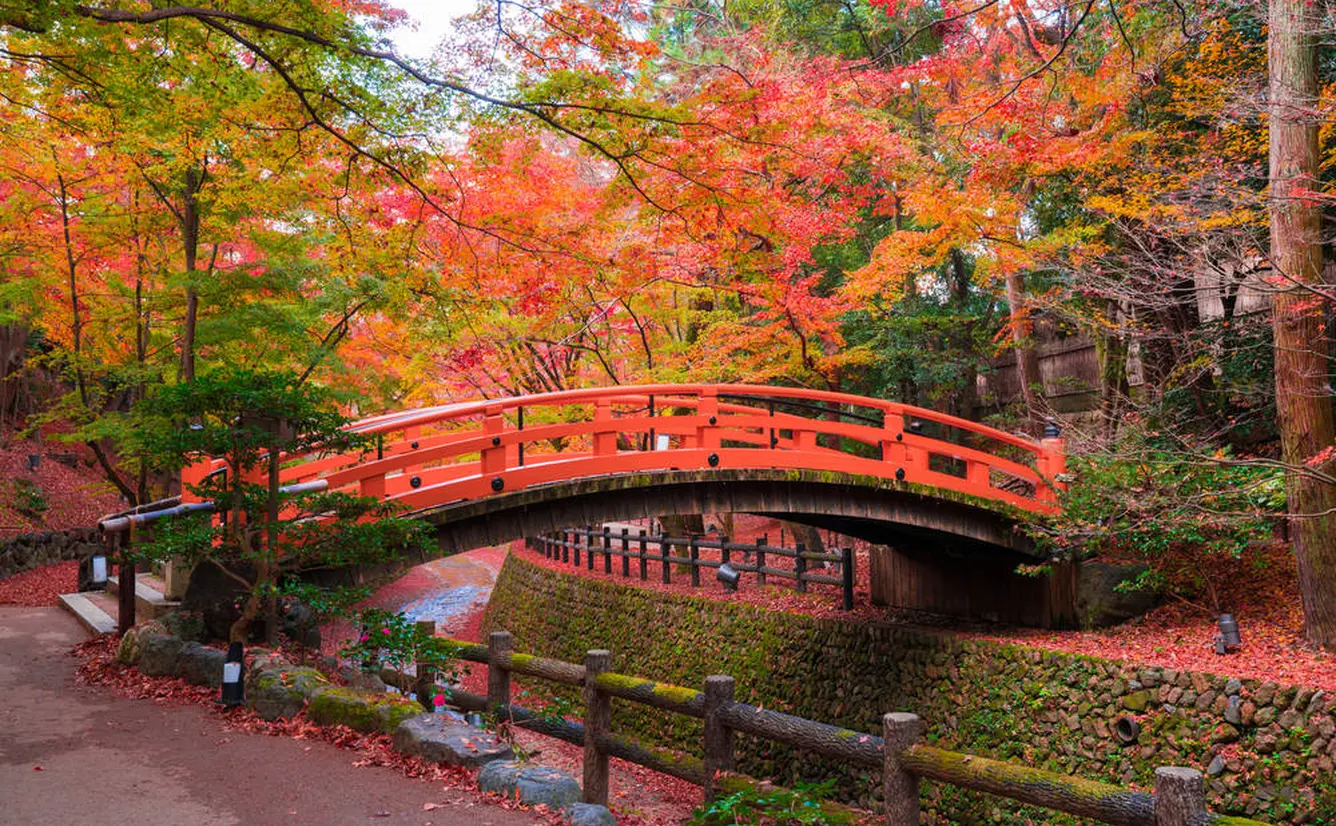 【秋の京都】紅葉巡り！金閣寺・上賀茂神社・龍安寺のおすすめスポットをご紹介のカバー画像