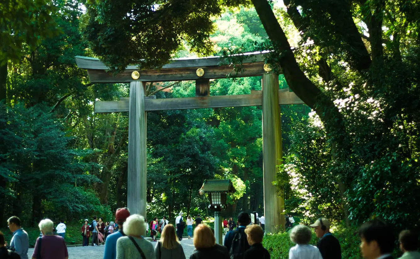 Meiji Jingu Sightseeing Guide] Information on the worship course and power spots! Cover image of