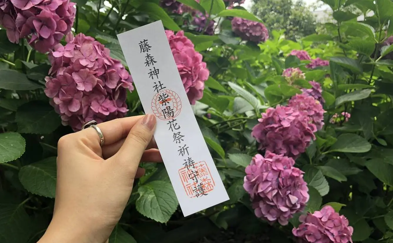 【雨の日京都】突然の雨でも安心！宇治・伏見のおすすめスポットをご紹介のカバー画像