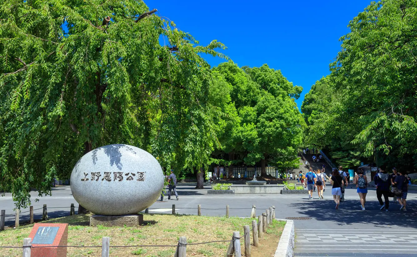 上野公園の楽しみ方完全ガイド 芸術から自然まで上野公園の魅力を一挙紹介 Holiday ホリデー