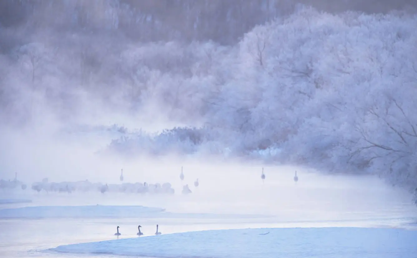 【北海道のおでかけ・観光マップ】地図から名所や周辺おすすめ情報を探そう！のカバー画像