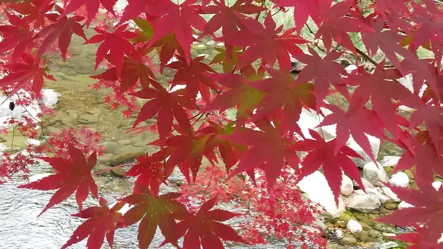 小さな子供とめいっぱい遊ぶ☆宮崎/山之口めぐり