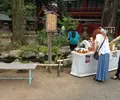 秩父神社の写真_46669