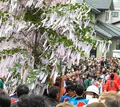 熊野神社の写真_27434