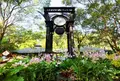 シンガポール植物園の写真_485844