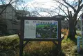 妙見河原の桜の写真_1054740