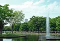 代々木公園の写真_206332