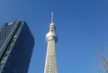 東京スカイツリーの写真_221879