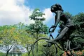 シンガポール植物園の写真_488131