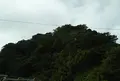 千代ヶ崎砲台跡の写真_874505