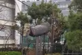 南開橋の写真_874589