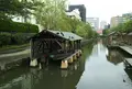 木場親水公園の写真_874611