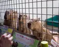 草津熱帯圏の写真_26601