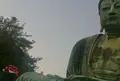 鎌倉大仏（高徳院）の写真_124102