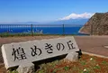 煌めきの丘の写真_707155