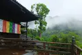 長谷寺の写真_76079