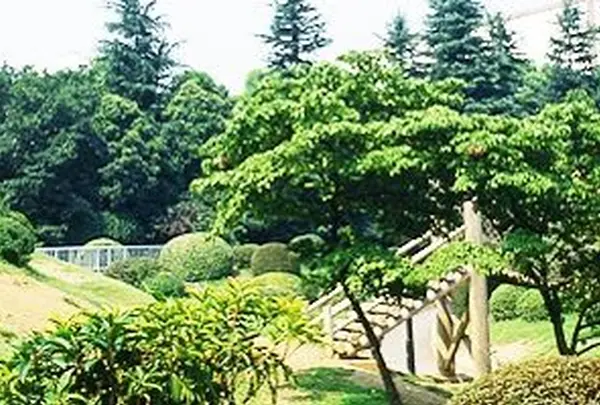 箱根山の写真・動画_image_207119