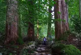 瀧尾神社の参道
