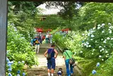 雨引山楽法寺（雨引観音）