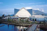 いおワールド かごしま水族館