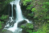 竜頭ノ滝