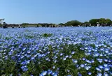 春のドライブ　福岡～北九州