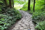 サムライロード