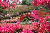 小室山つつじ園