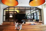 猫カフェモカラウンジ 池袋東口店