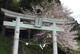 八幡神社から見える 桜並木