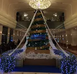 新宿の大きなクリスマスツリーを見に行く