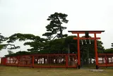 湖畔の景勝地「唐崎神社」