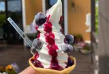 ぶるーべりーガーデンカフェ