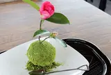 Bonsai Cafe