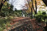 坂の上は野口公園