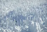 八甲田山の樹氷
